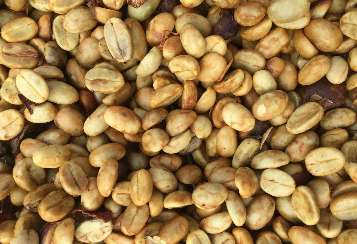 Attikan Estate - Honey Sun - Dried - Medium - Light Roast - kafeido roasters