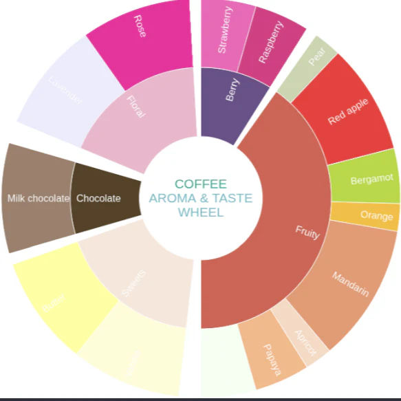 Coffee aroma and taste wheel with color swatches