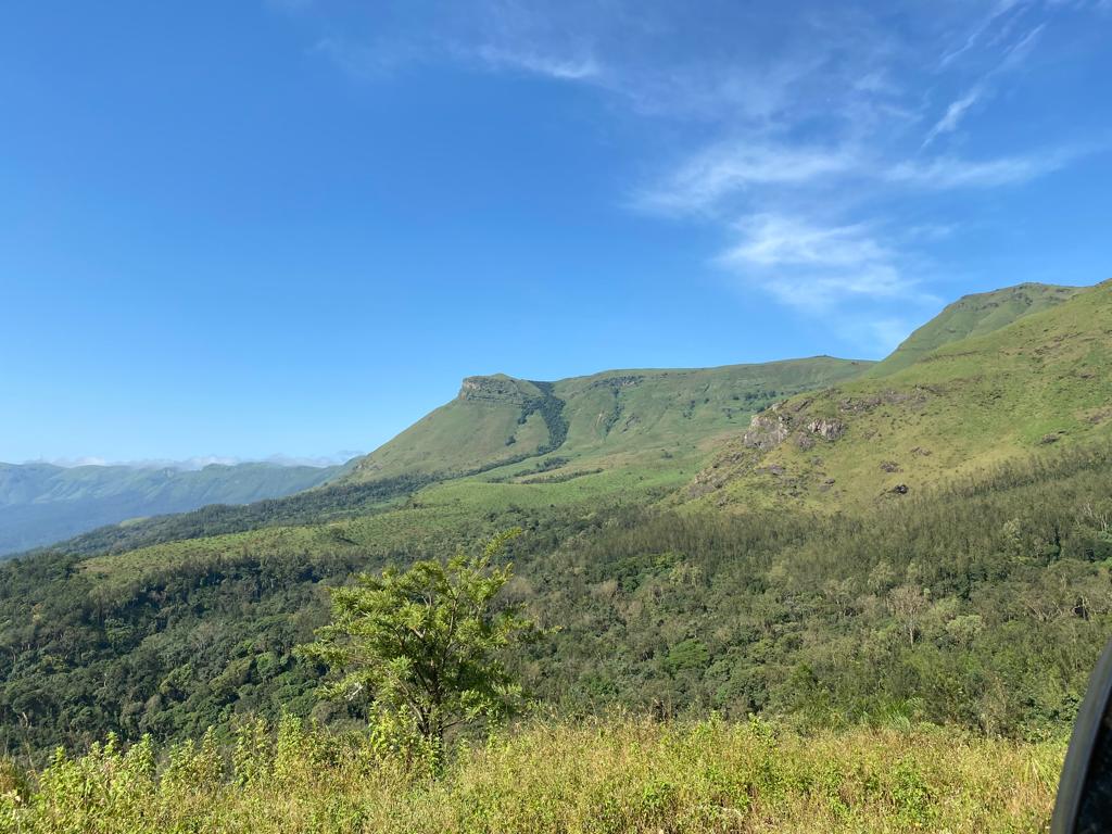 Ratnagiri Estate - Naturals, Anaerobic Fermentation with Yeast - Medium Roast - kafeido roasters