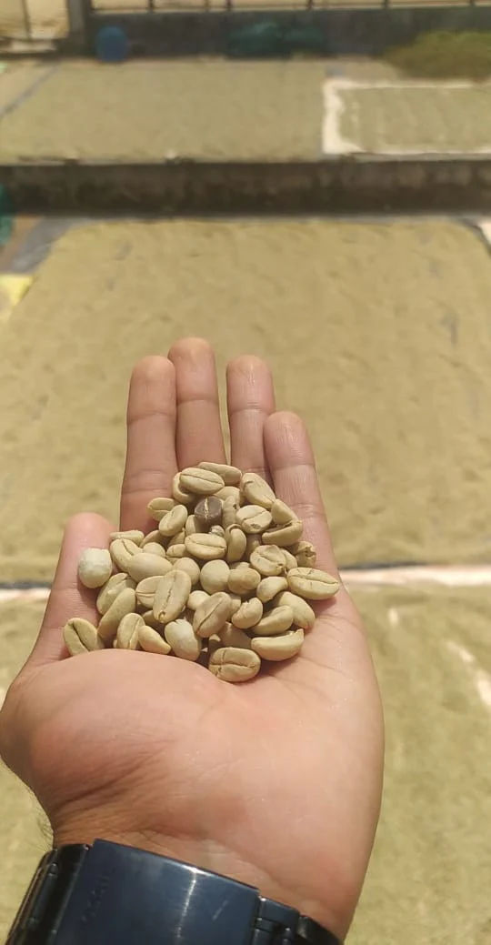 Unnaki Estate - Dark Honey - Medium - Light Roast - kafeido roasters