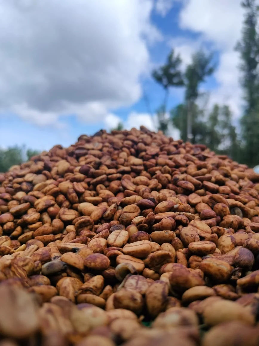 Unnaki Estate - Dark Honey - Medium - Light Roast - kafeido roasters