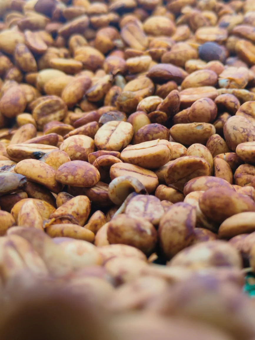 Unnaki Estate - Dark Honey - Medium - Light Roast - kafeido roasters