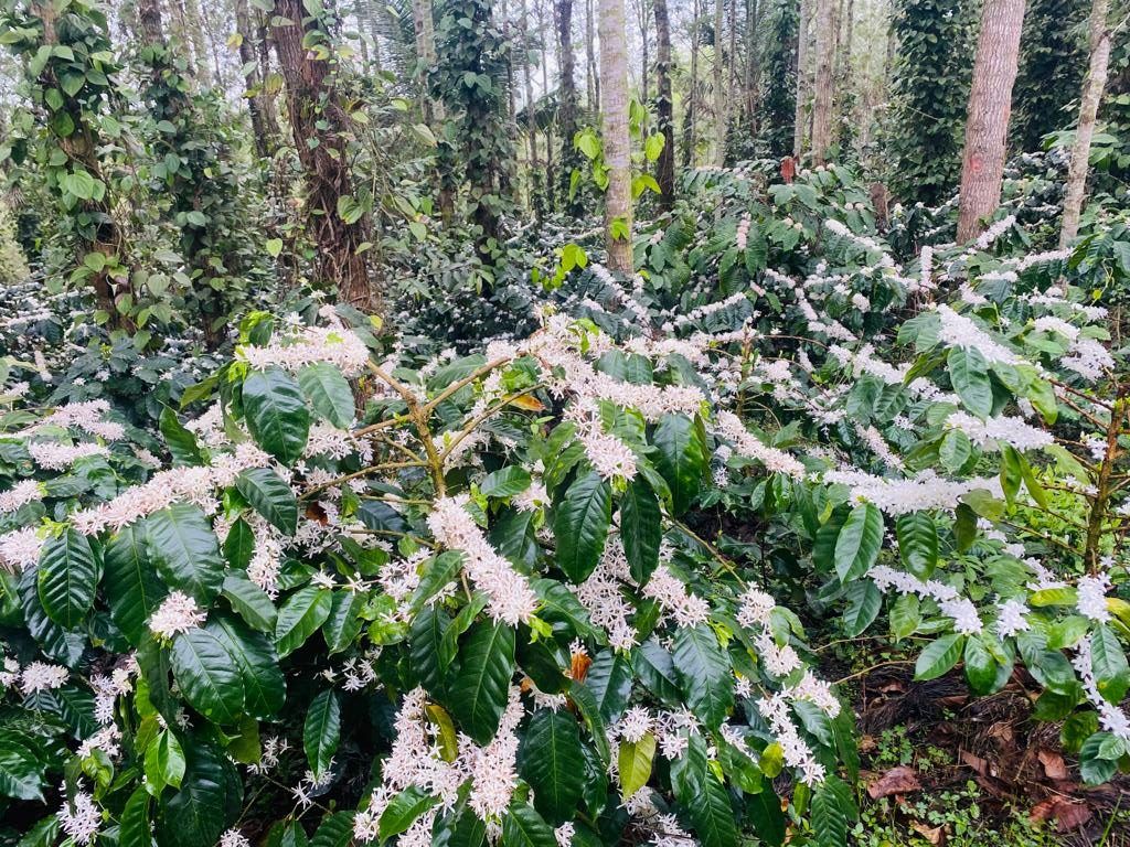 PHOTO-2022-04-01-08-21-11