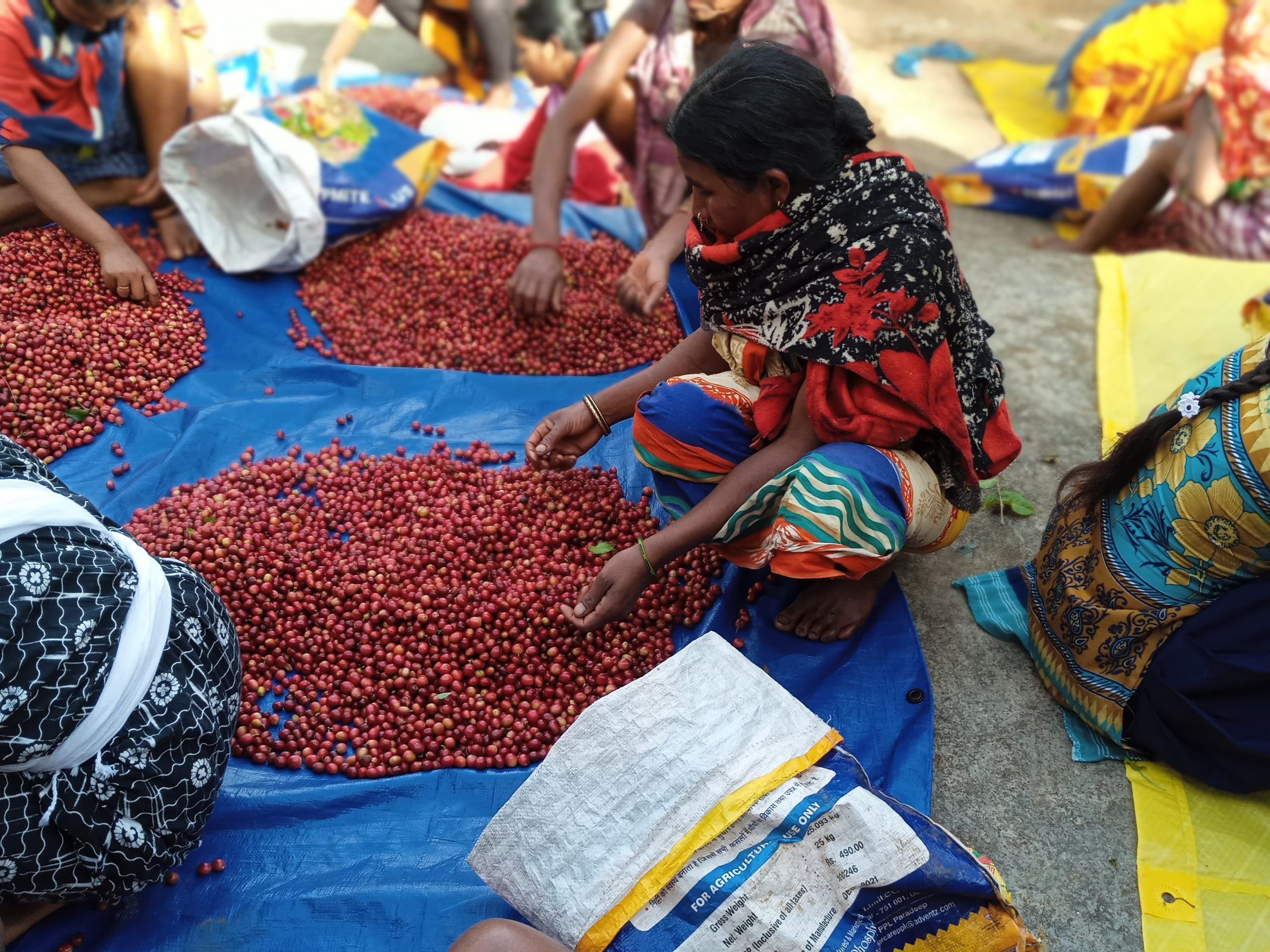 IMG_20221221_142005_Original