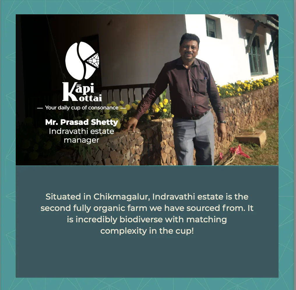 Dēvagāndhāri - Image 3