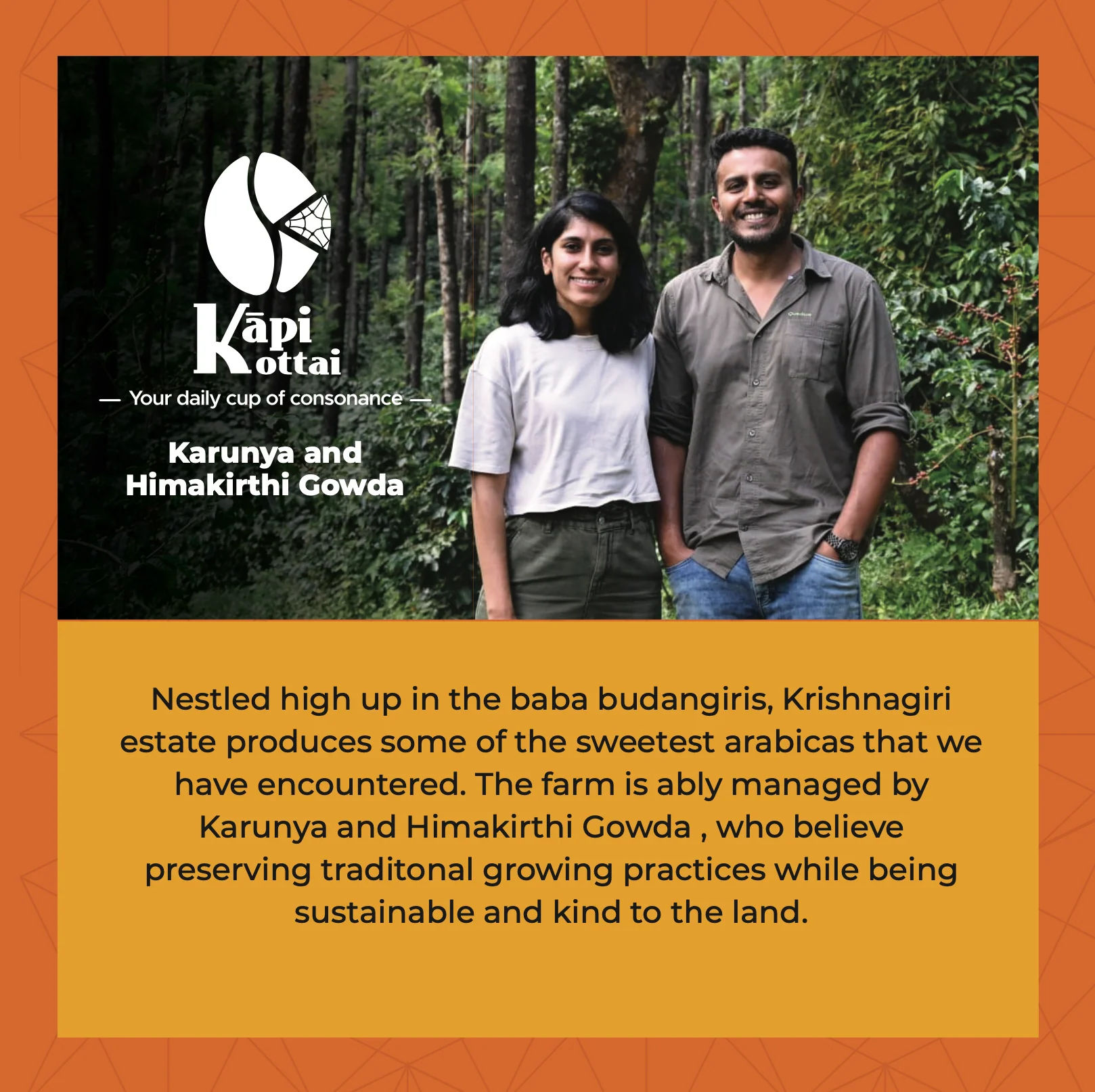 Hamīrkalyāni - Image 3