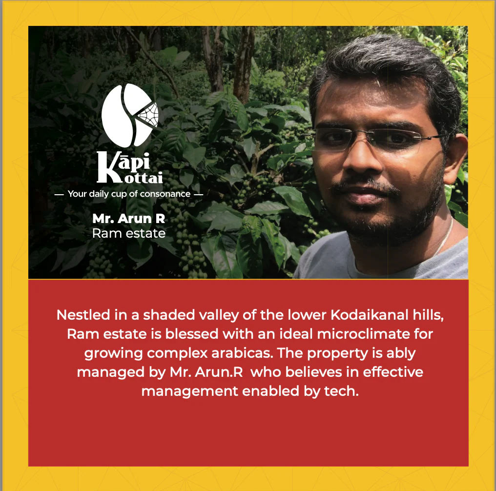 Kāmbhōji - Image 3