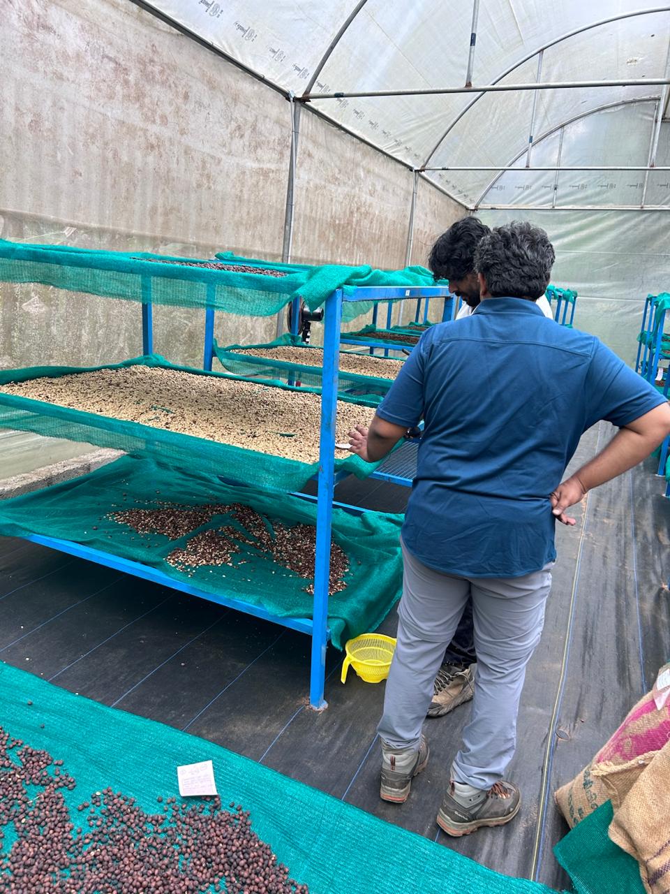 Kāmbhōji - Image 5