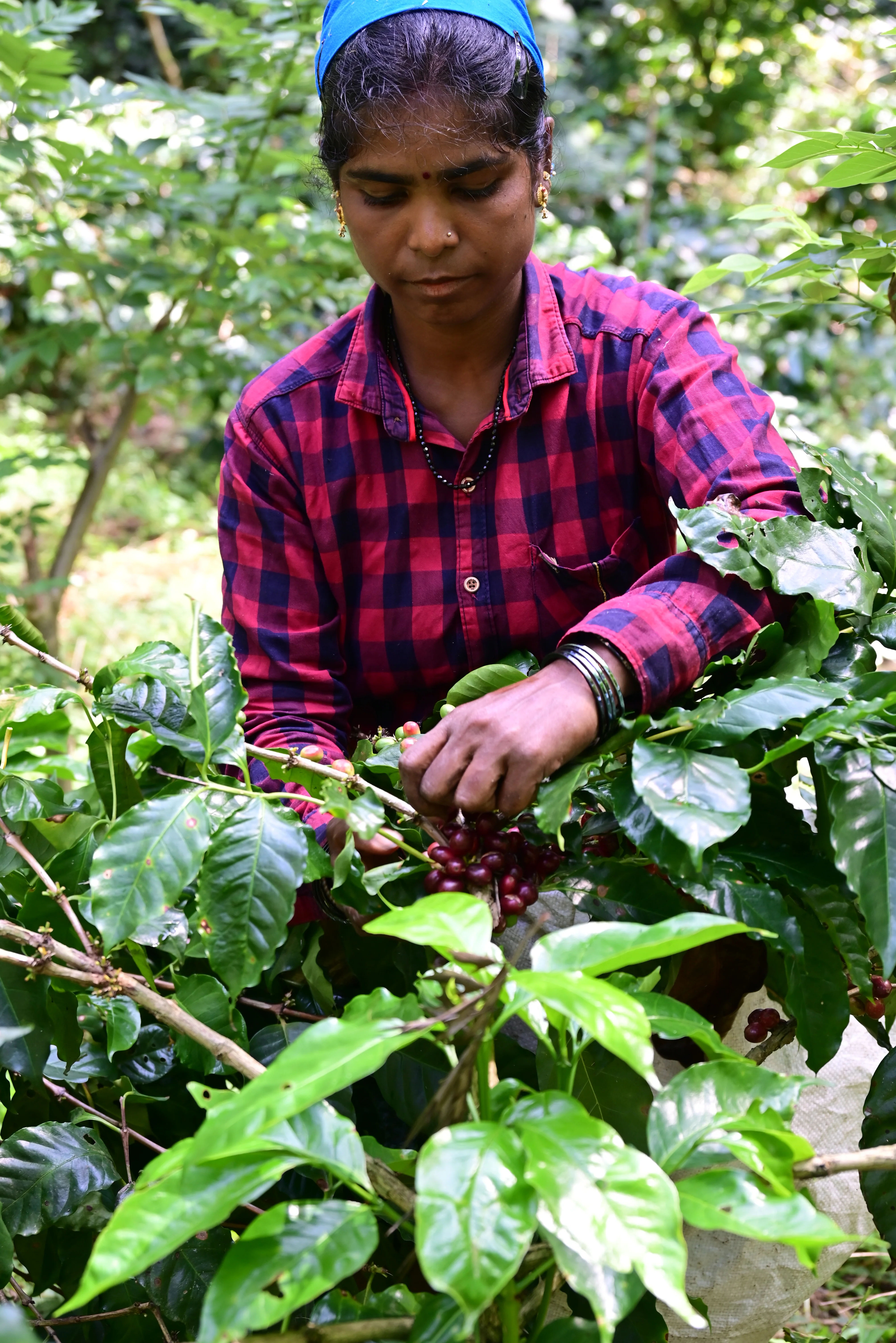 Mind=blown (redux) - Image 4