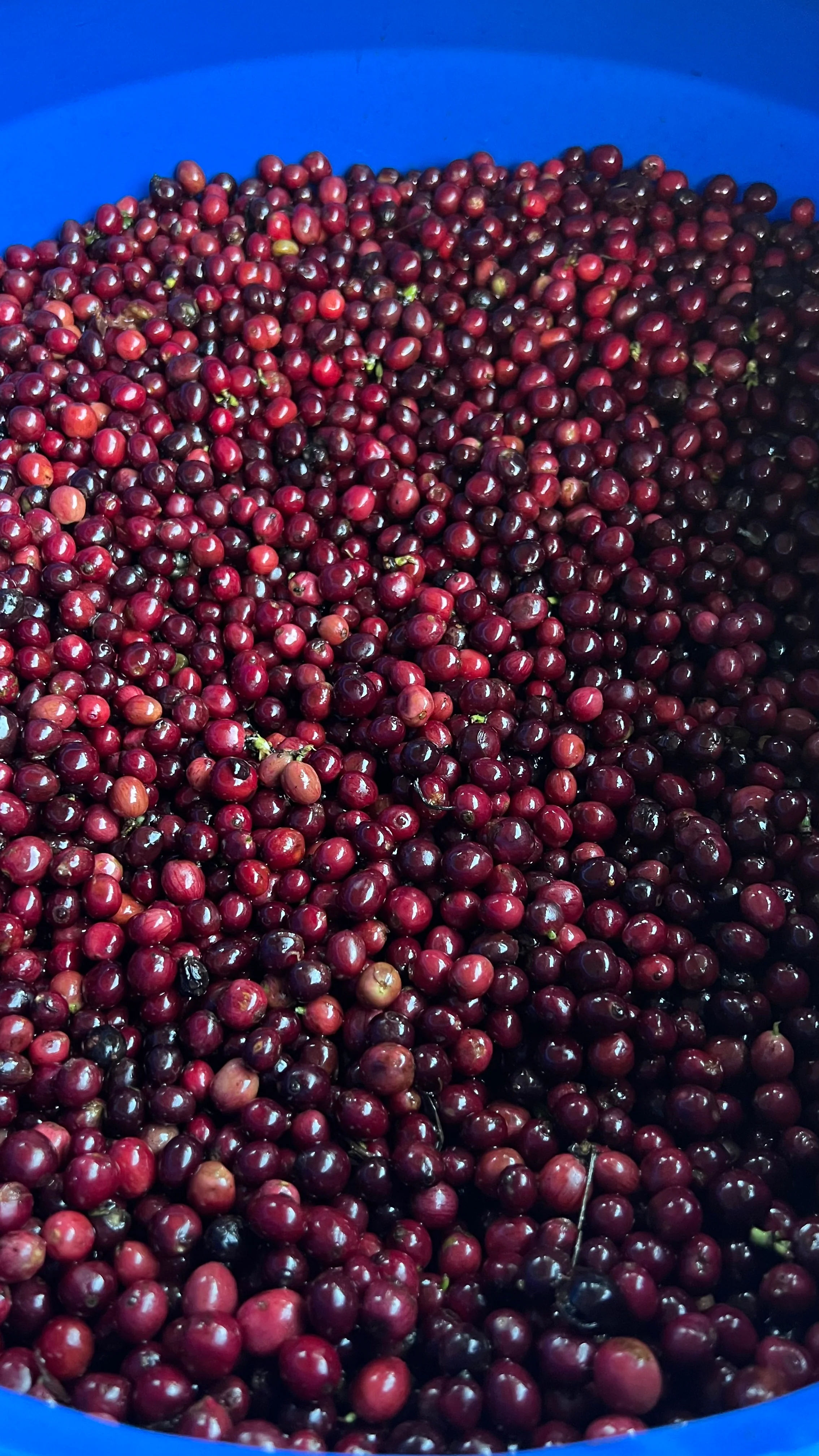 Mind=blown (redux) - Image 6