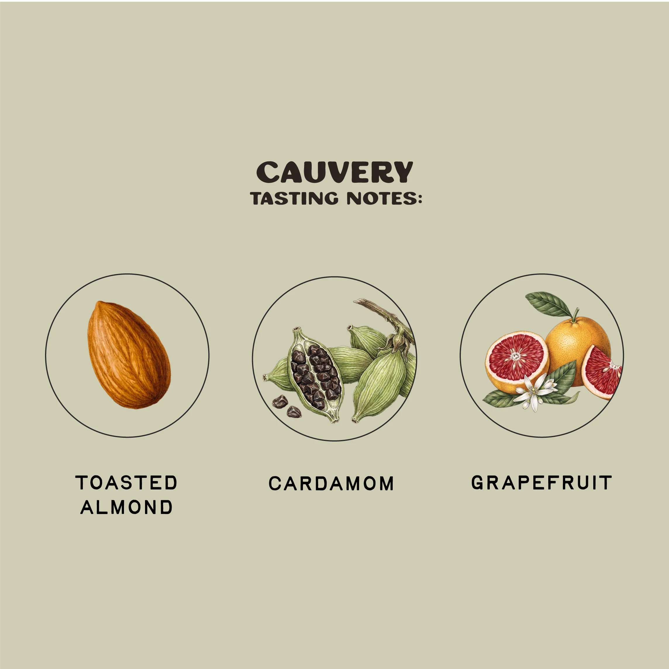 Cauvery - Image 3