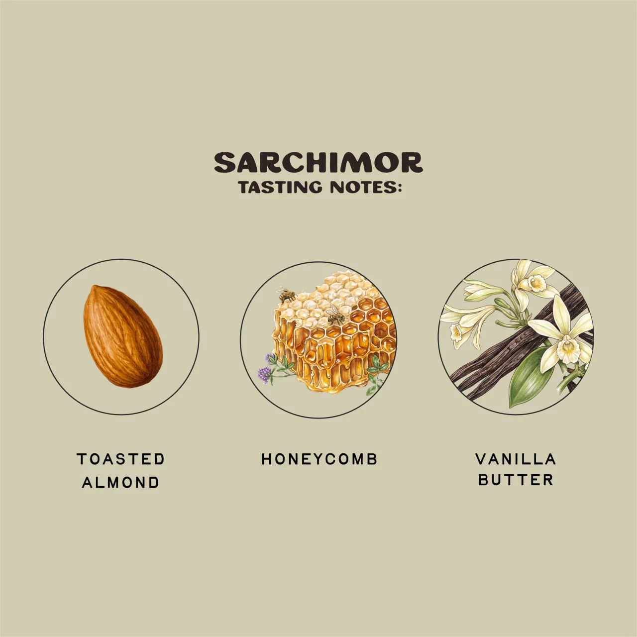Sarchimor - Image 3