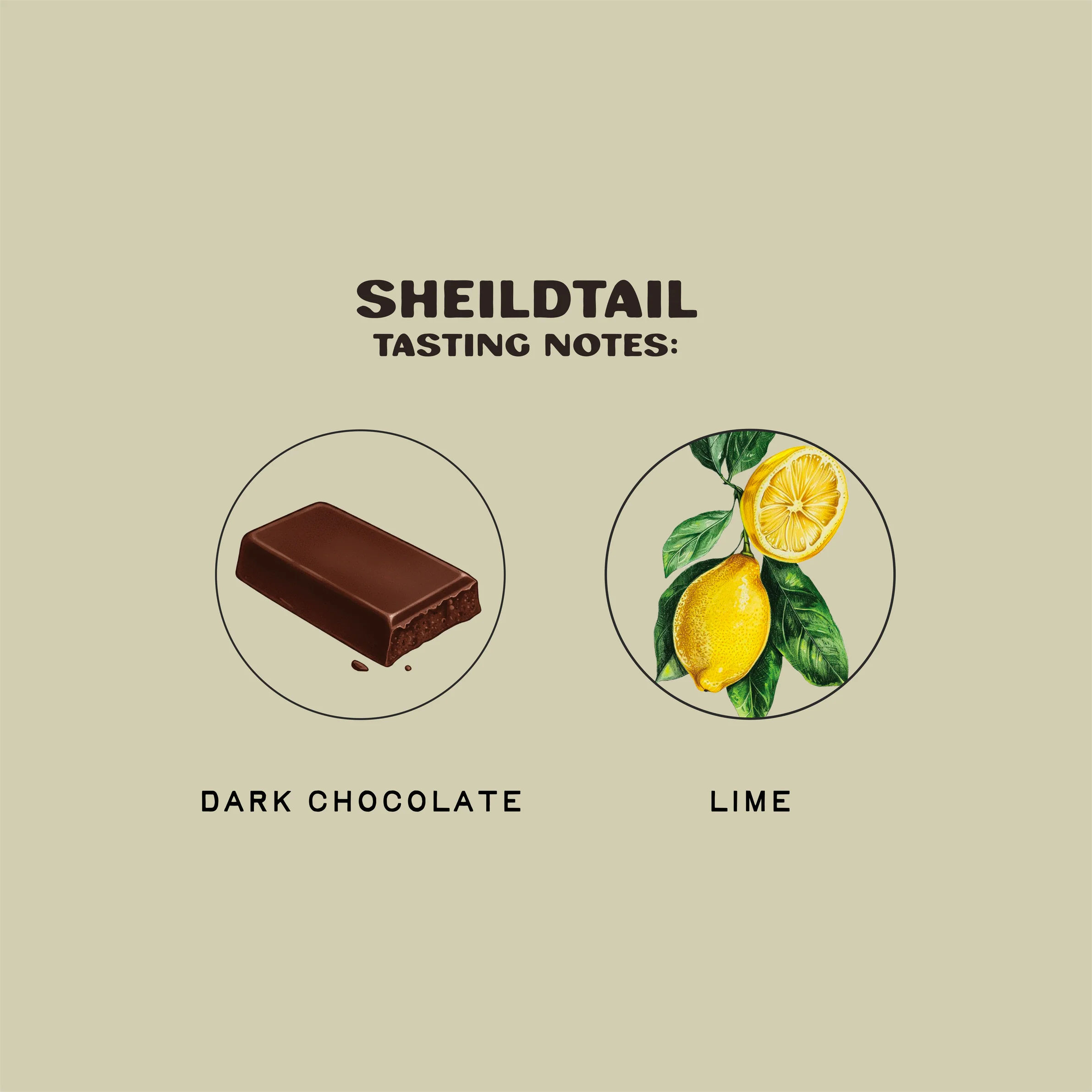 Shieldtail - Image 3