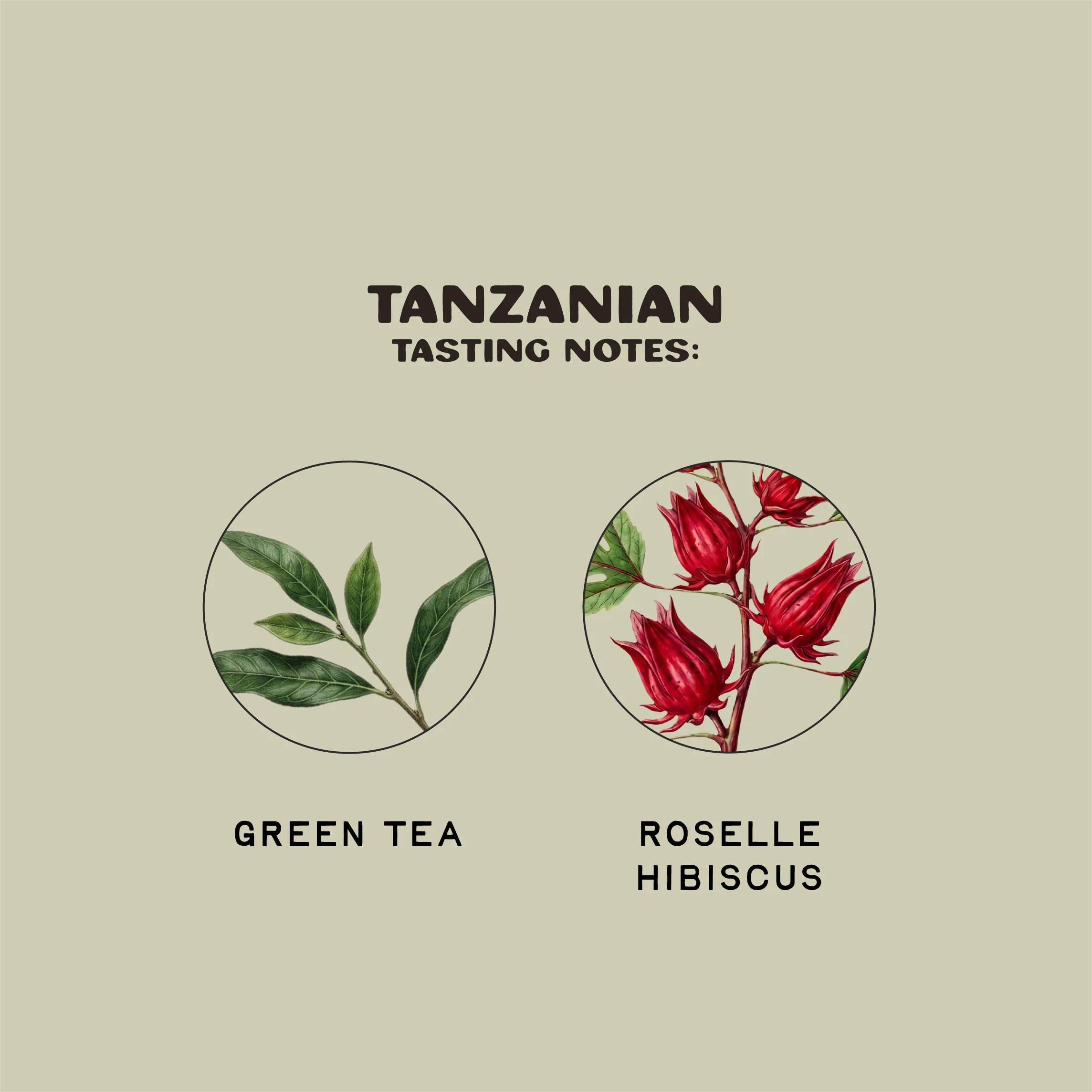 Tanzanian - Image 2
