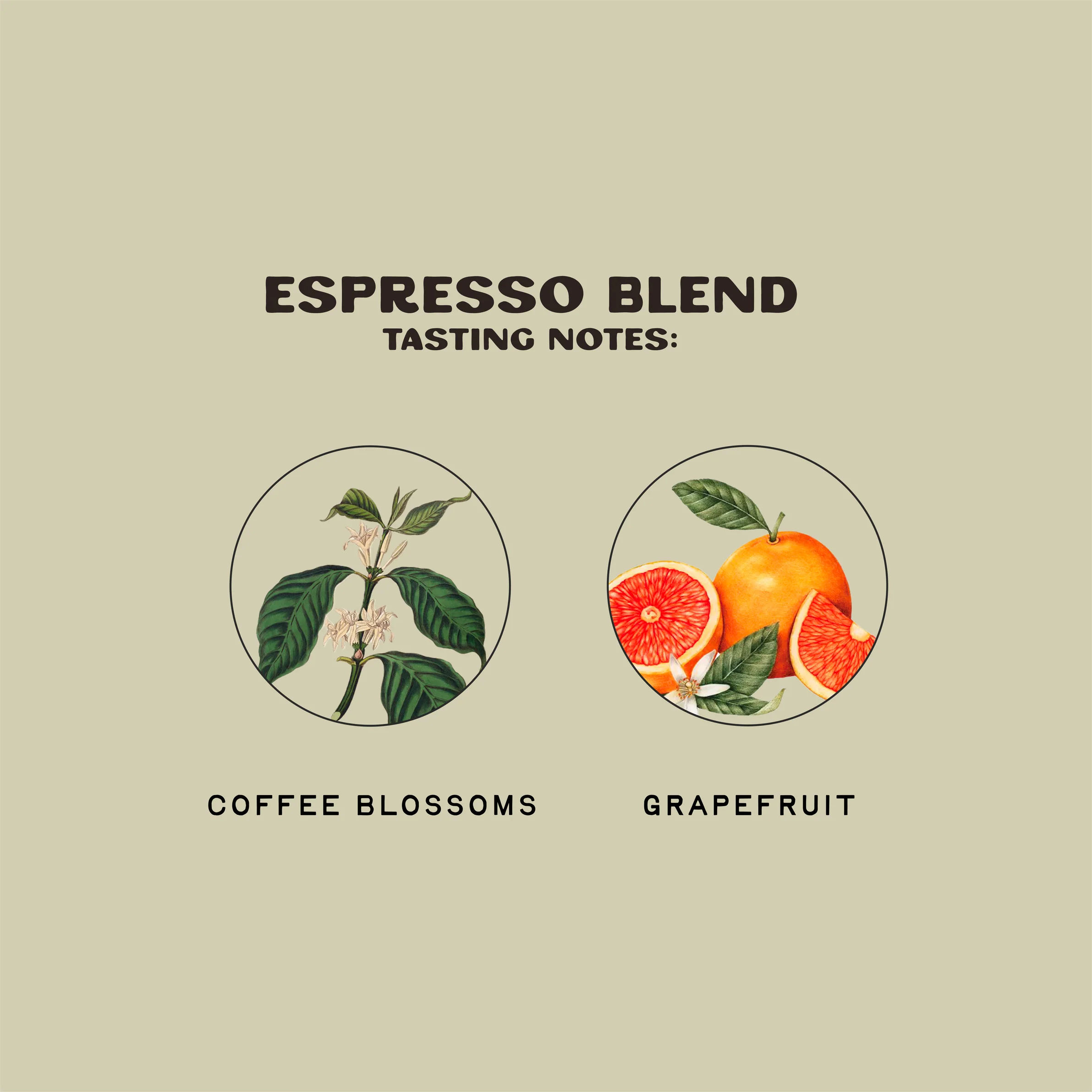 Espresso Blend - Image 3