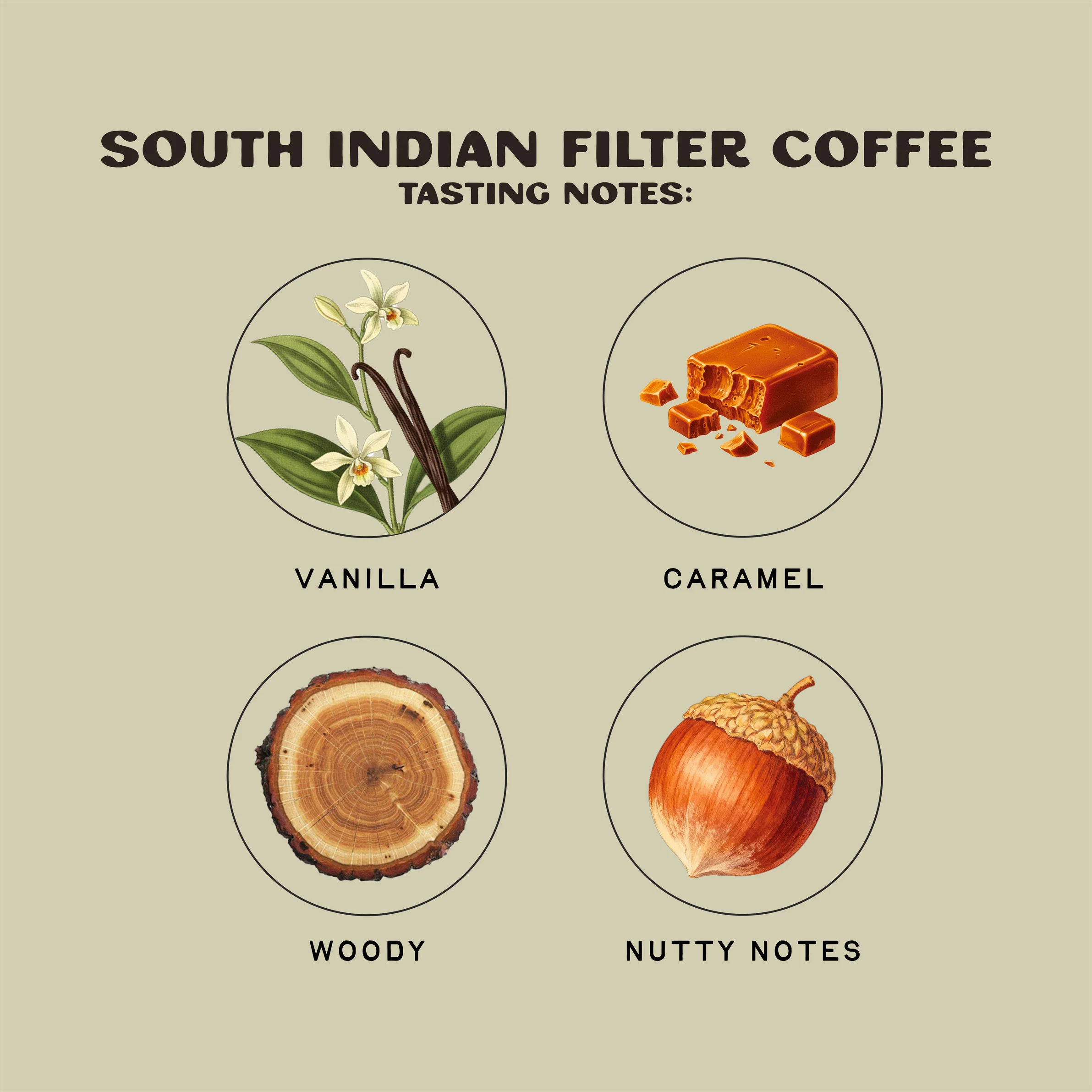 The South Indian Filter Blend - Image 3