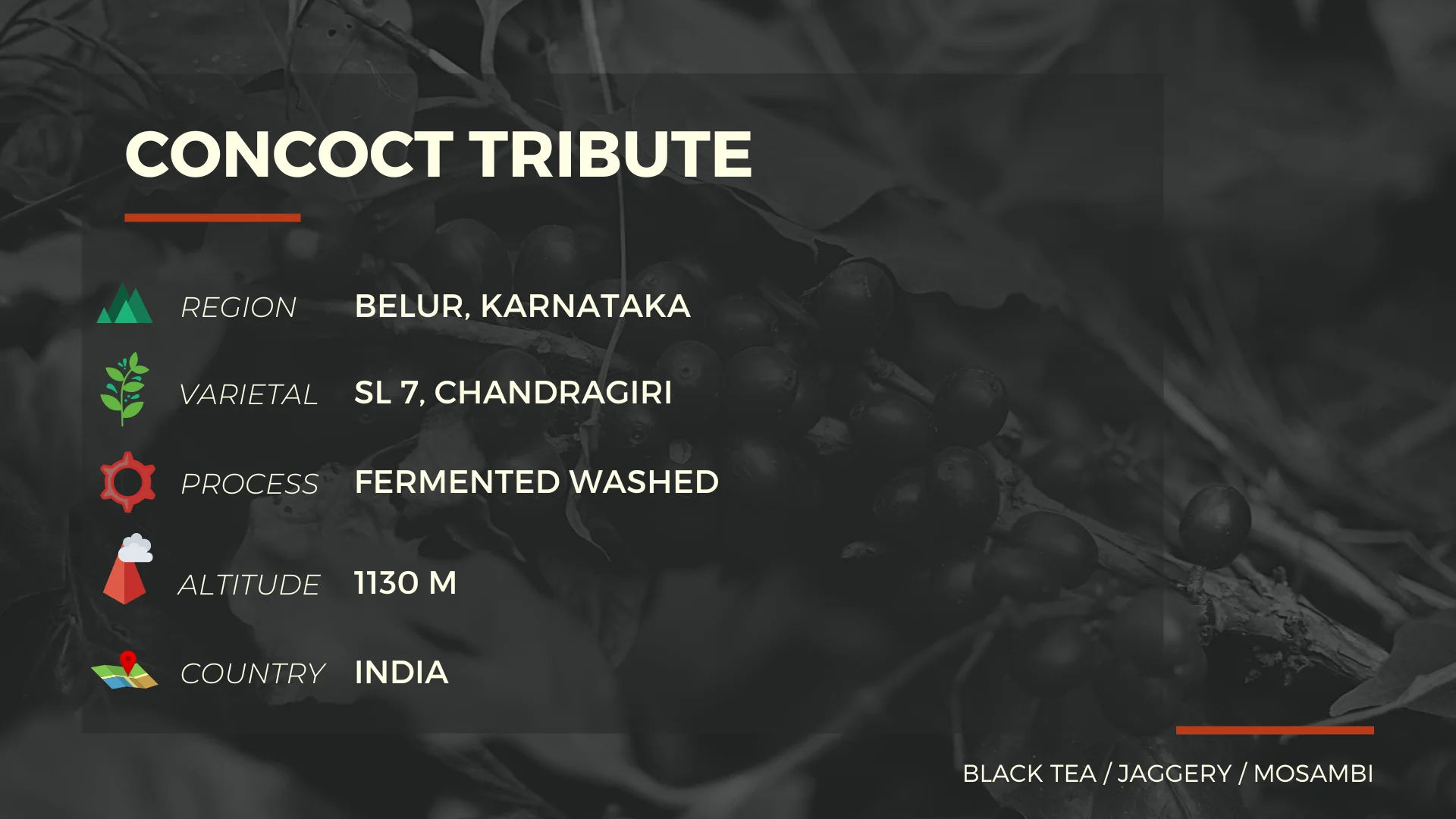 CONCOCT TRIBUTE - Image 2