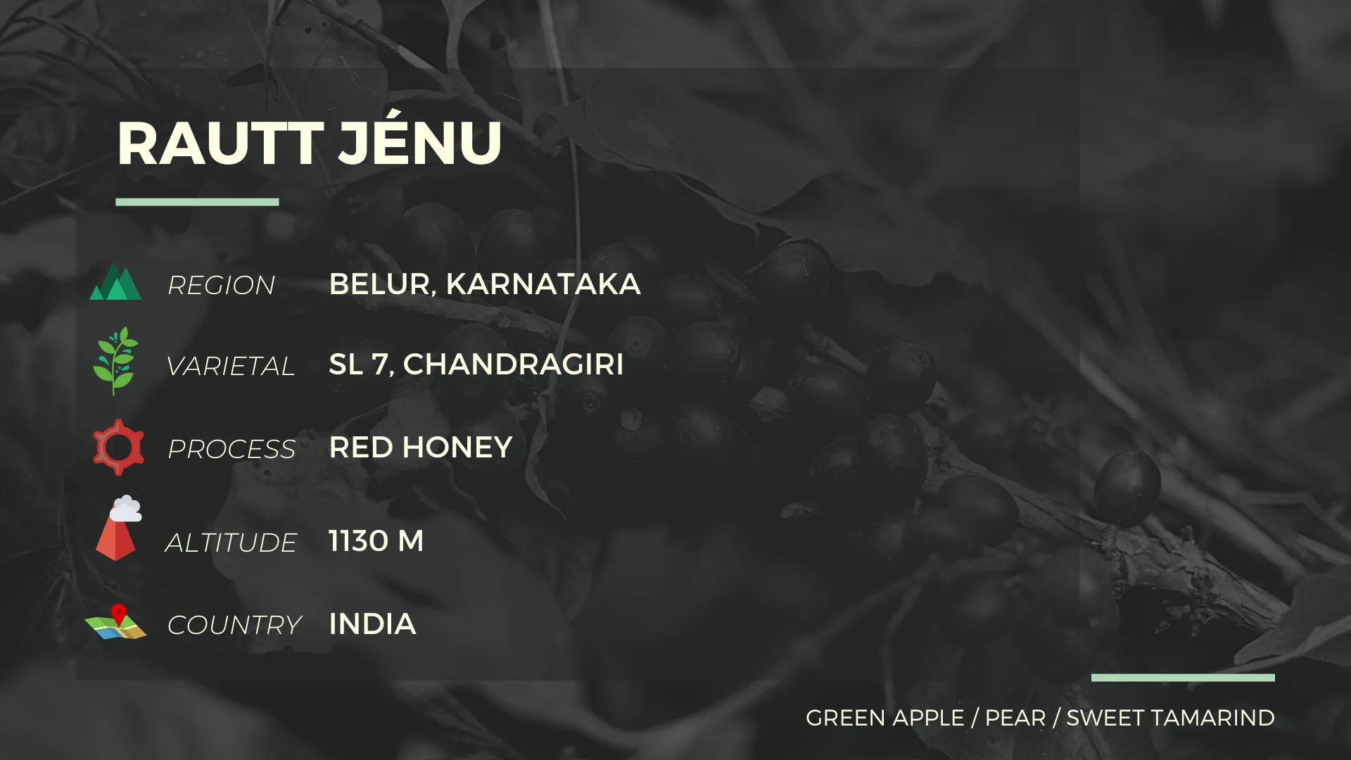 RAUTT JÉNU - Image 2