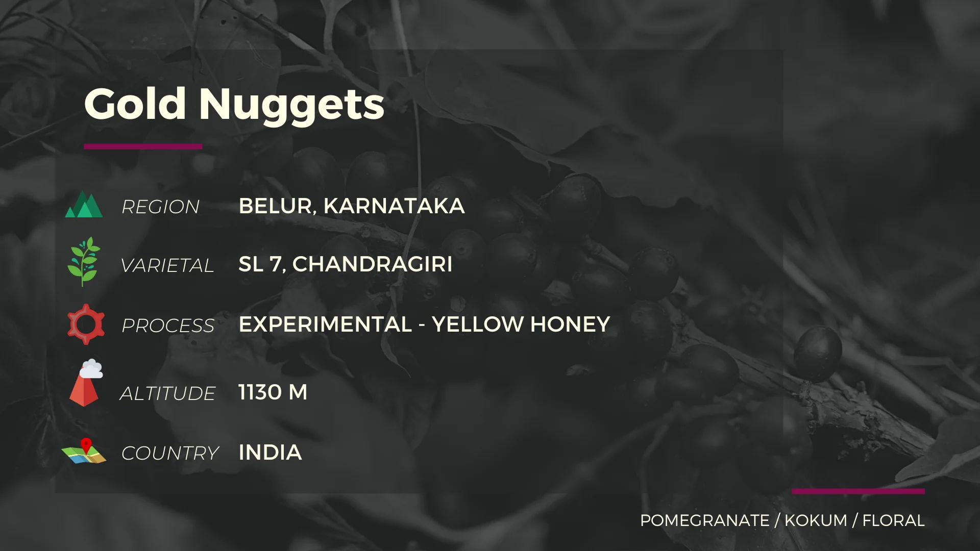 GOLD NUGGETS - Image 2