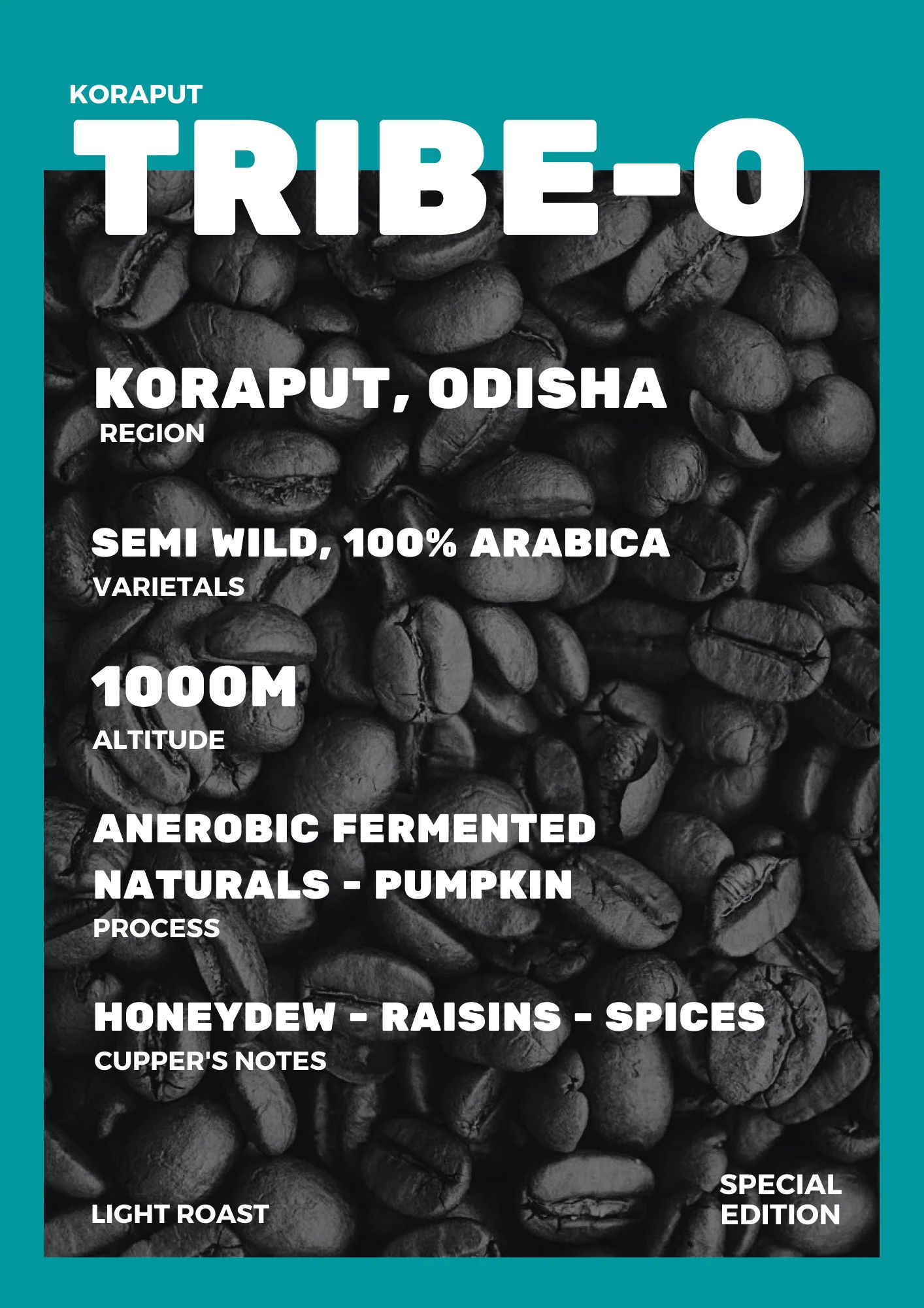 TRIBE-O KORAPUT - Image 3