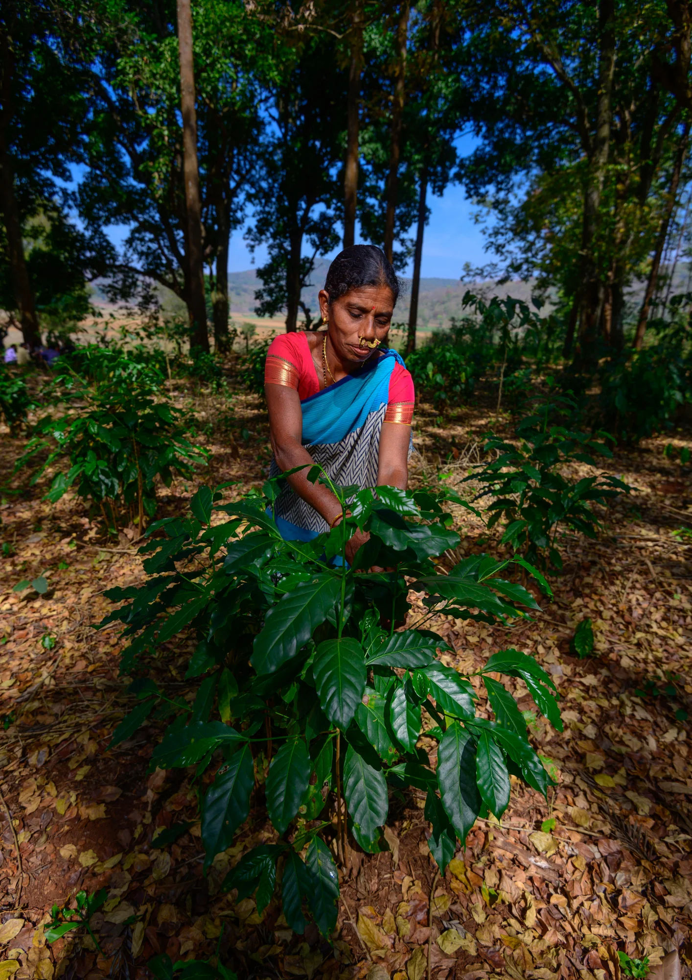 TRIBE-O KORAPUT - Image 9
