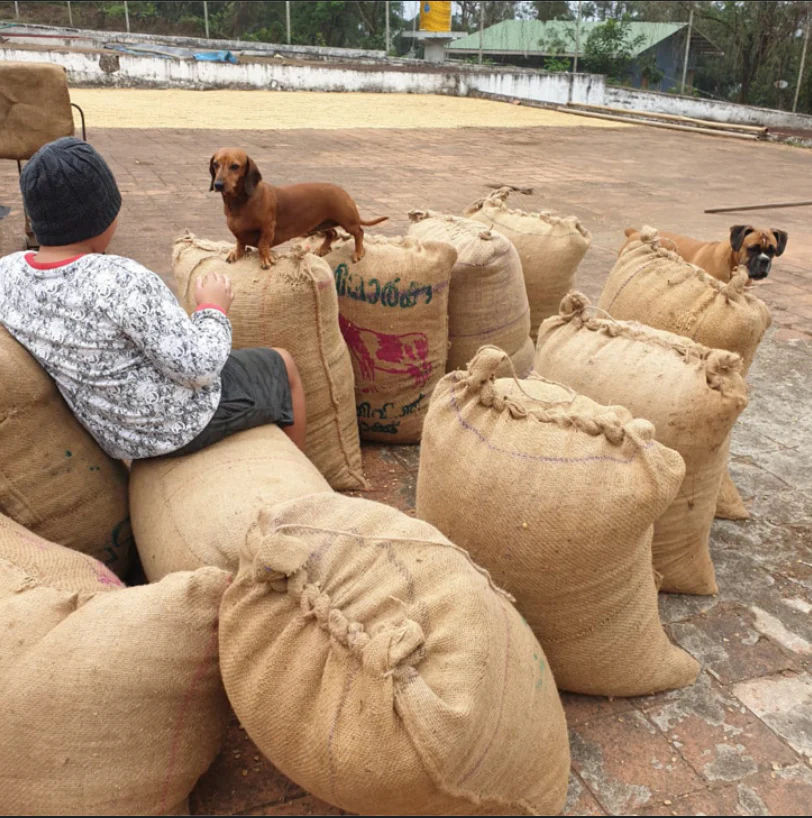 Modur Naturals - Image 4