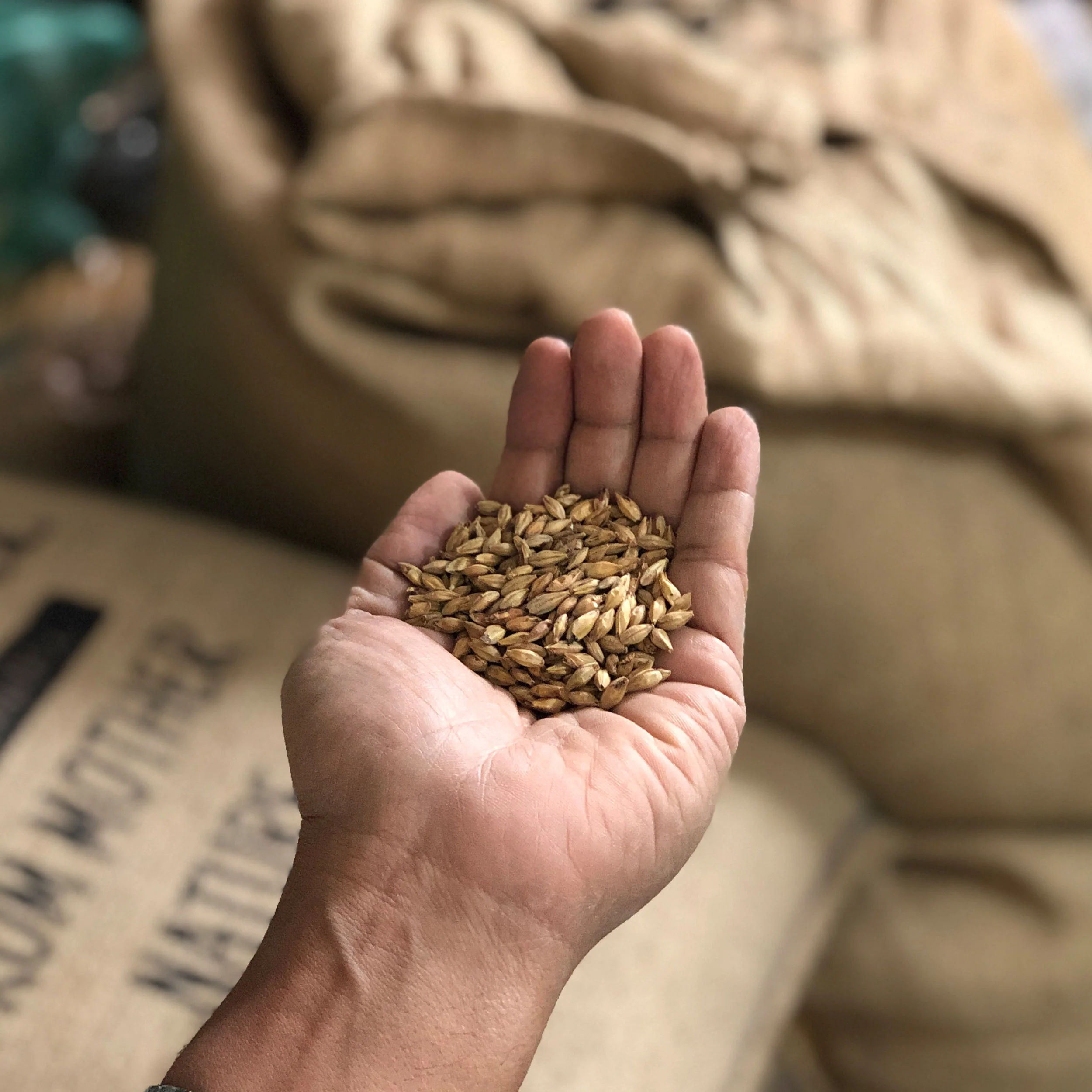 What The Ale!? - Image 2