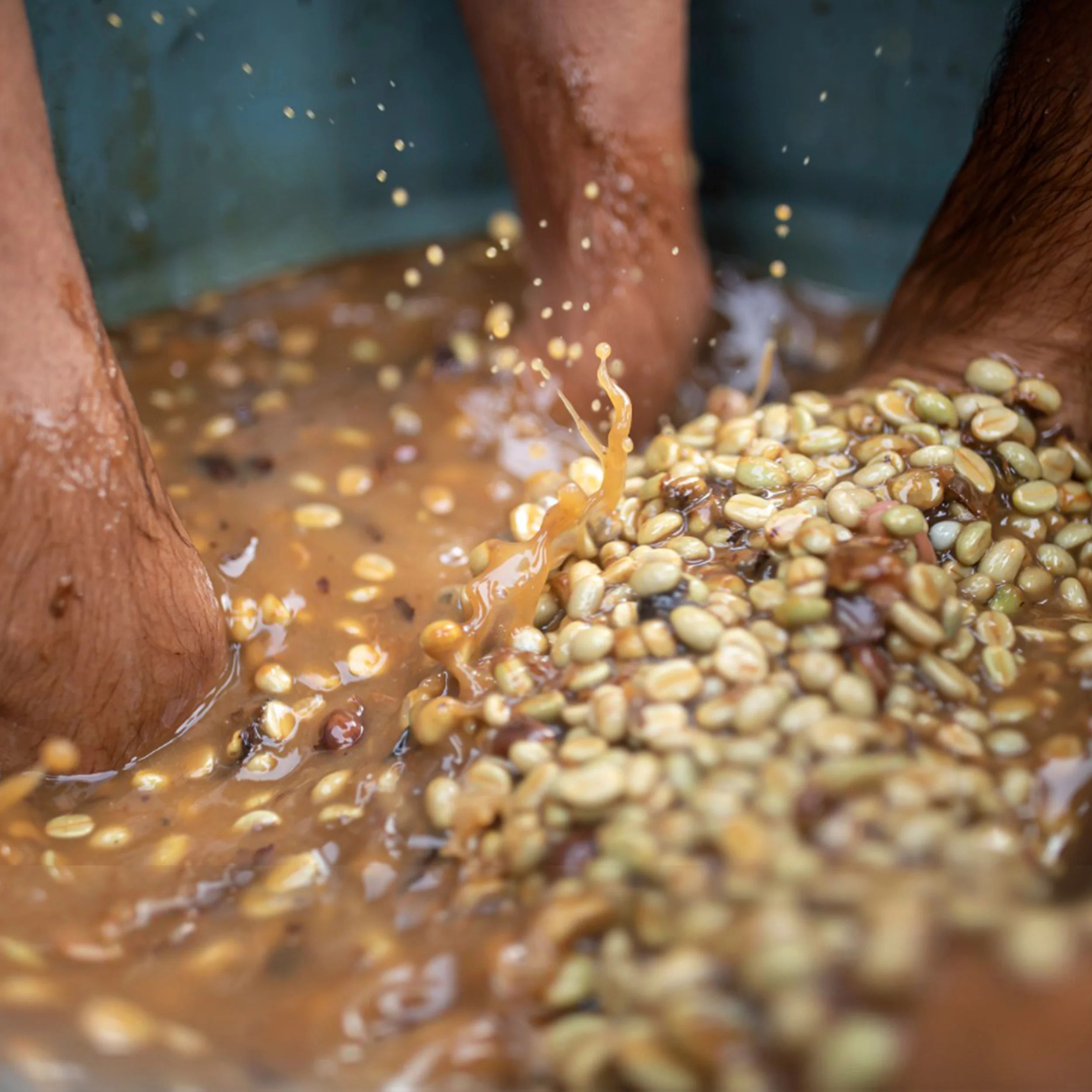 What The Ale!? - Image 4