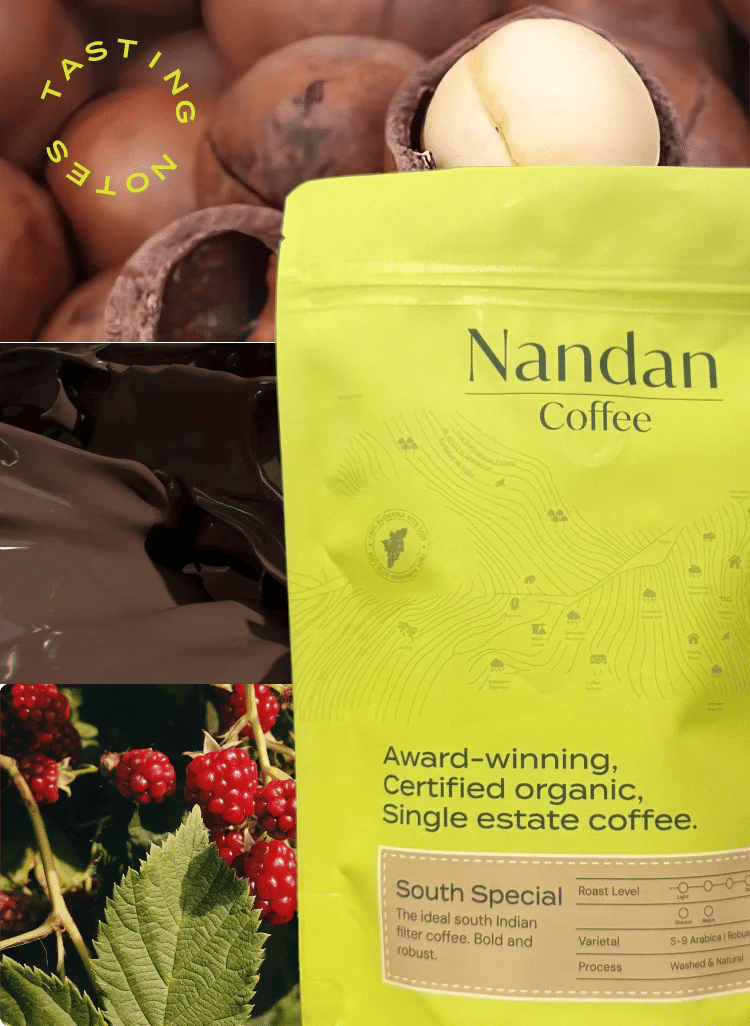 South Special Medium-Dark Roast - Image 2
