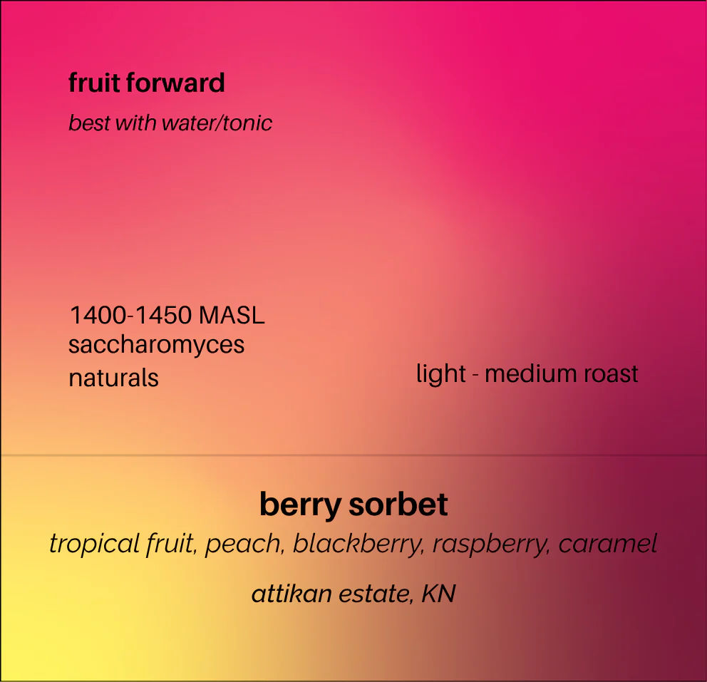 Berry Sorbet - Image 2