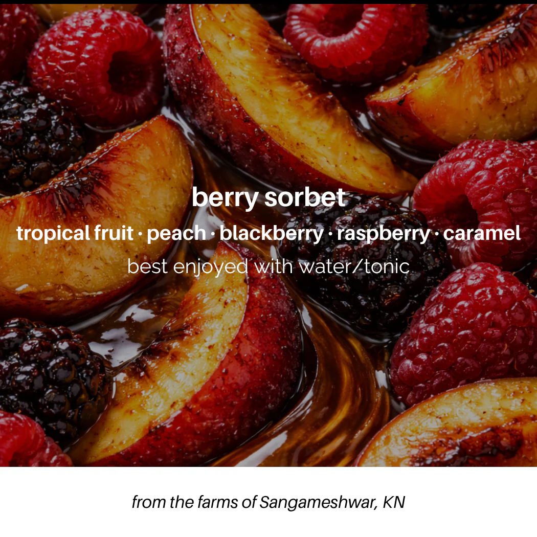 Berry Sorbet - Image 3
