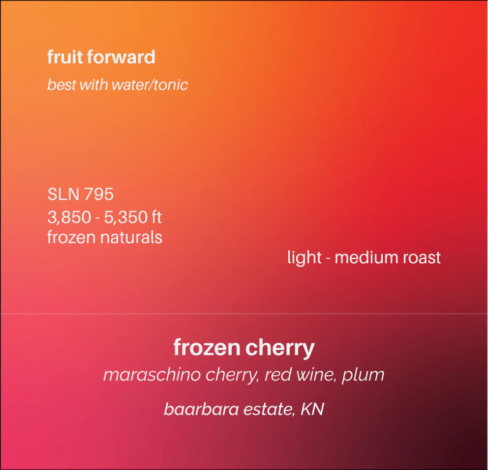 Frozen Cherry - Image 2