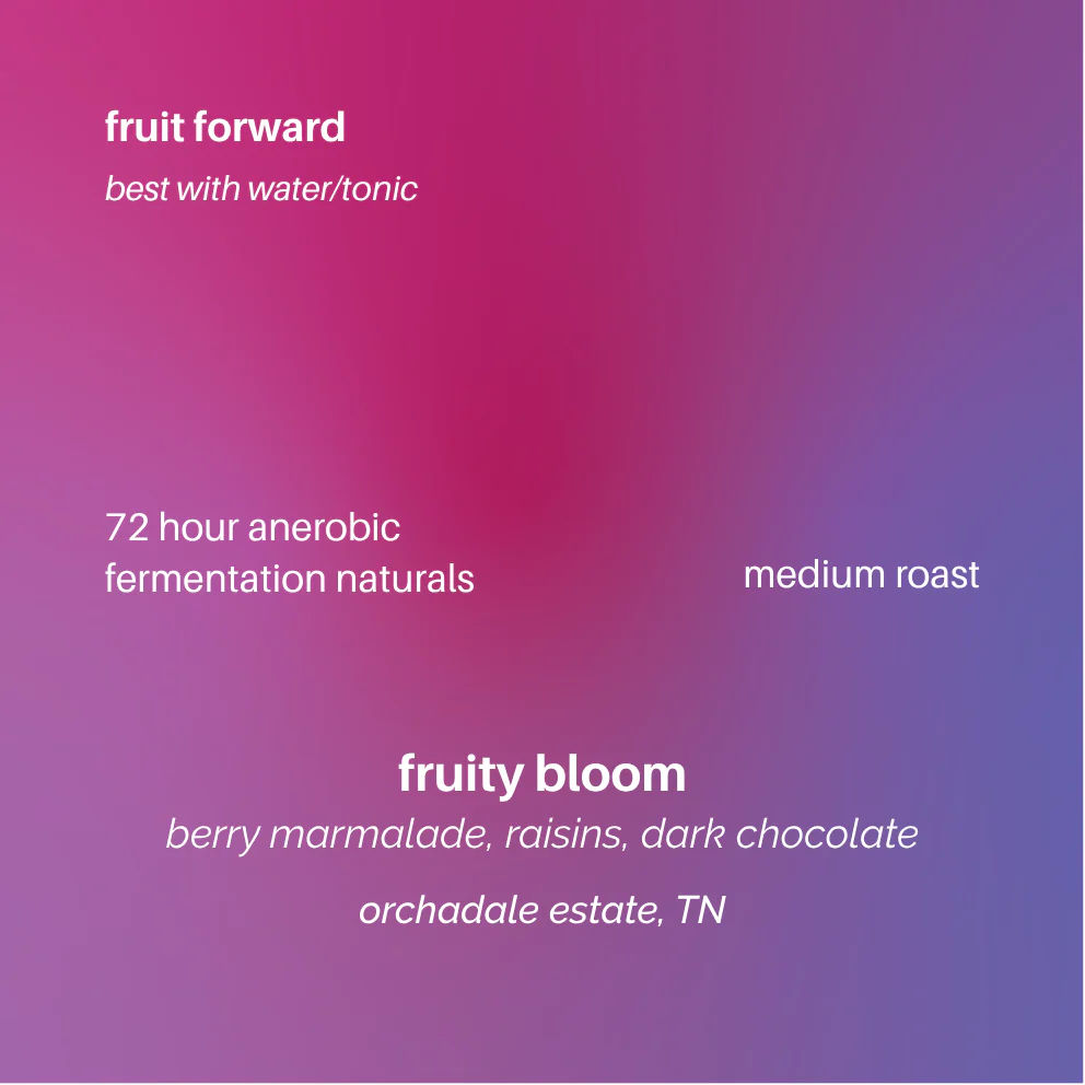 Fruity Bloom - Image 2