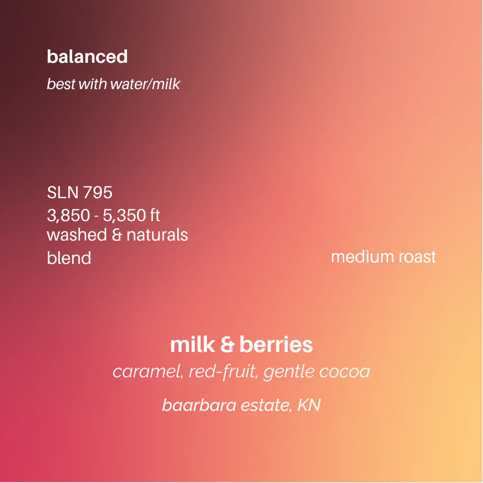 Milk & Berries - Image 2