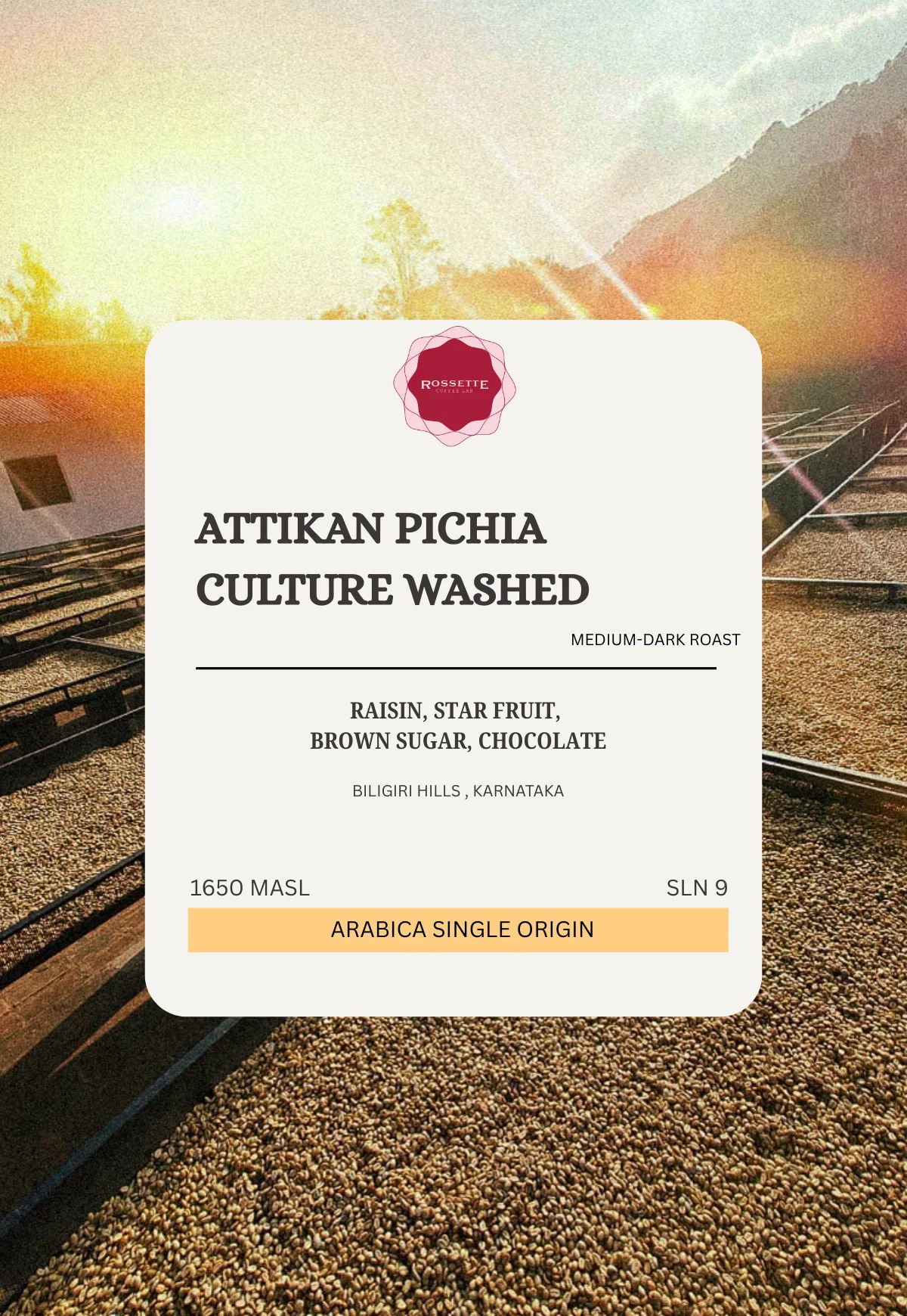 Attikan Pichia Culture Washed (SCA 84+) - Image 2