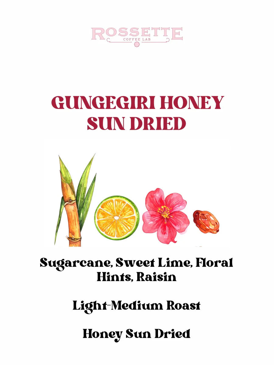 Gungegiri Honey Sun Dried - Image 2