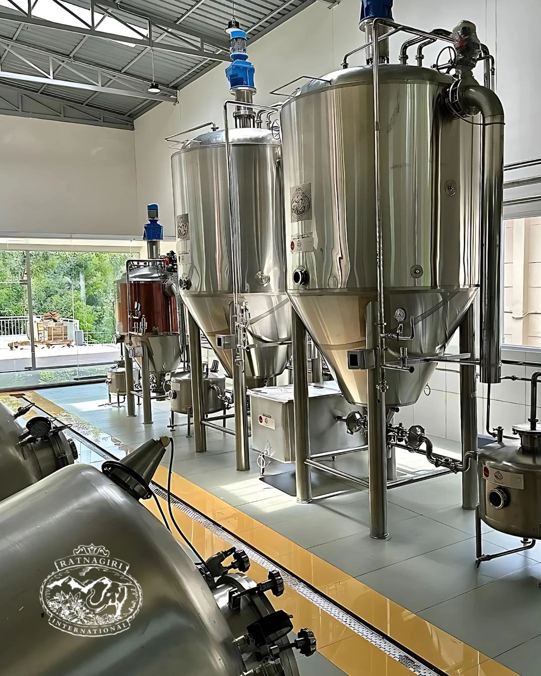 Fruits Bomb - Image 5