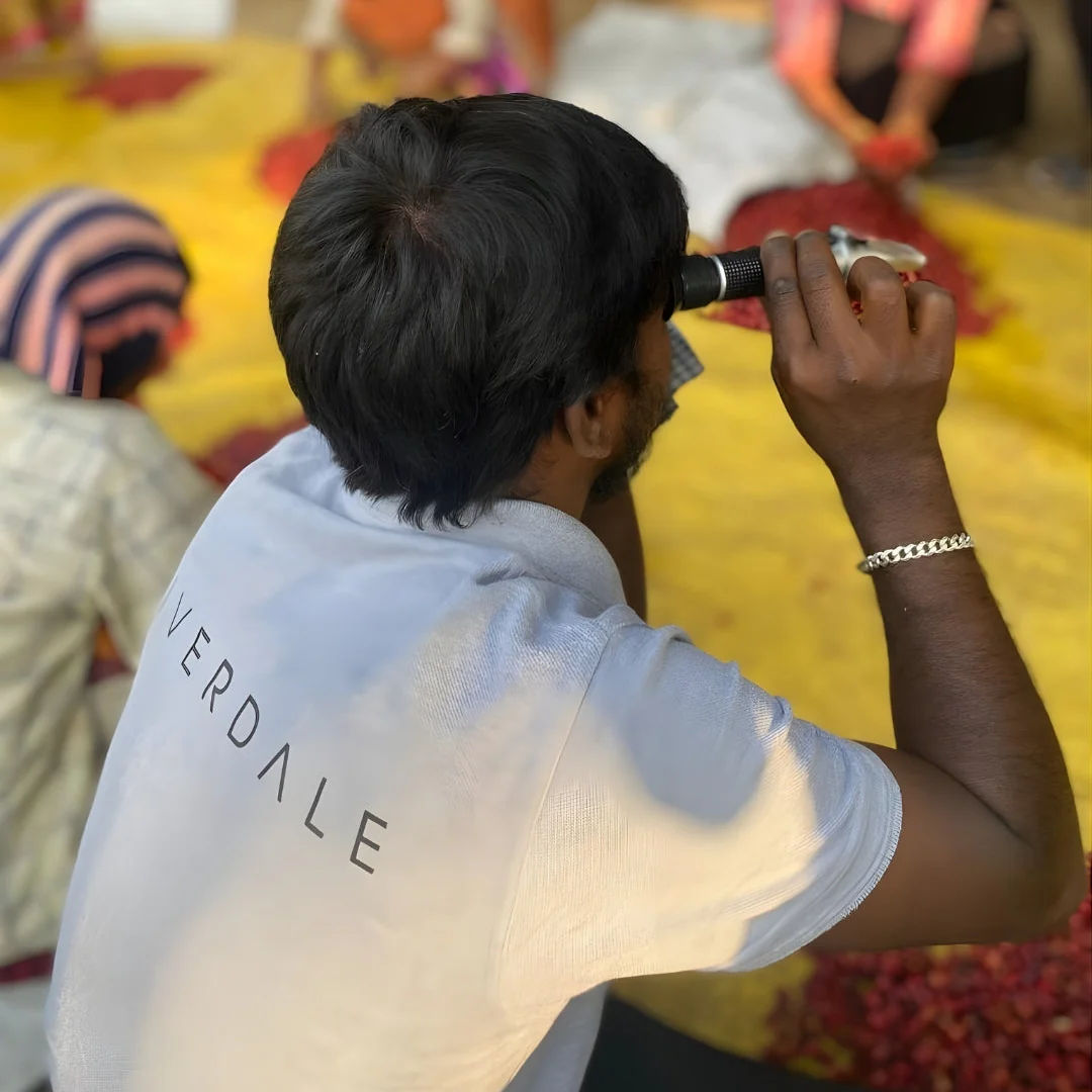 Iceberg Naturals - Image 3