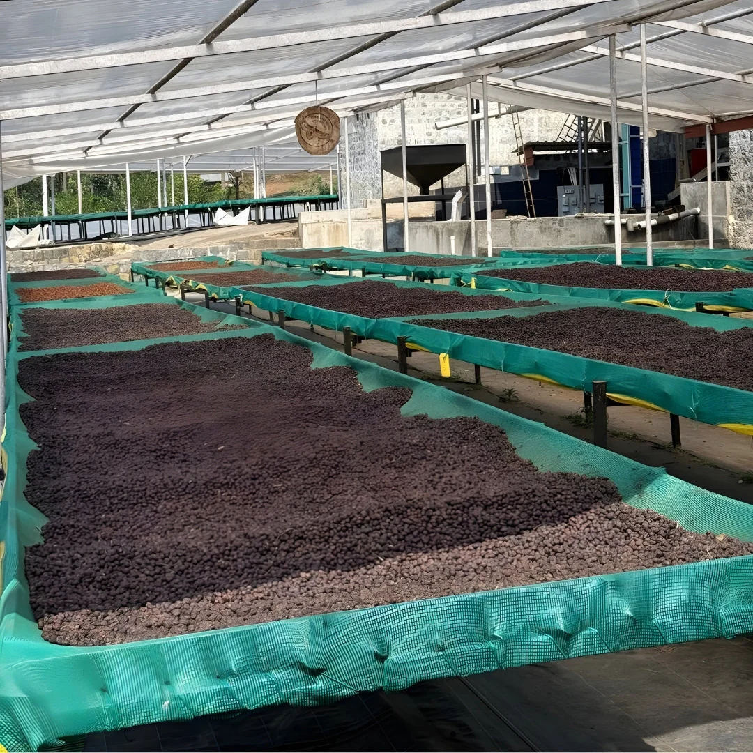 Iceberg Naturals - Image 5