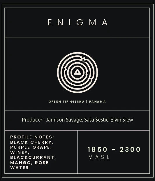 Limited Edition GZ x Siolim Drop 1 - Image 5