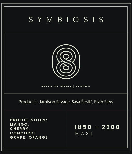 Limited Edition GZ x Siolim Drop 1 - Image 7