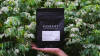 Balanoor Washed — light roast Arabica coffee from Chikmagalur