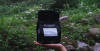 Kalledevarapura Honey — medium roasted roast coffee