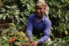 Kalledevarapura Honey — medium roasted roast coffee