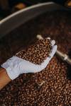 Blend Jal / ಬ್ಲೆಂಡ್ ಜಲ / ब्लेंड जल — medium_dark roast Blend coffee from Bababudangiri