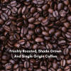 Intenso Fermentation Green Beans — light roast Arabica coffee from Bababudangiri