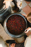 Kerehaklu Mossto Washed Arabica — Arabica coffee from Chikmagalur, Karnataka, India