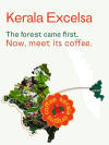 Terravagamon Excelsa Anoxic Naturals (Kerala Excelsa) — Medium Roast roast Excelsa coffee from Kerala