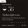 Paper Moon — Depth 36 roast Arabica coffee from Guji