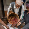 Kaski, Nepal — Medium-Light Roast roast Arabica coffee from Kaski, Nepal